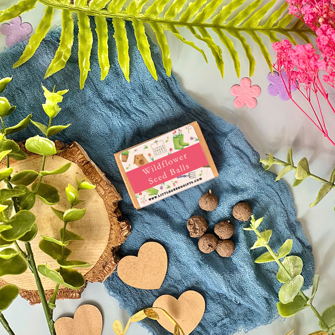 Wildflower Seed Balls - Gardening Glee
