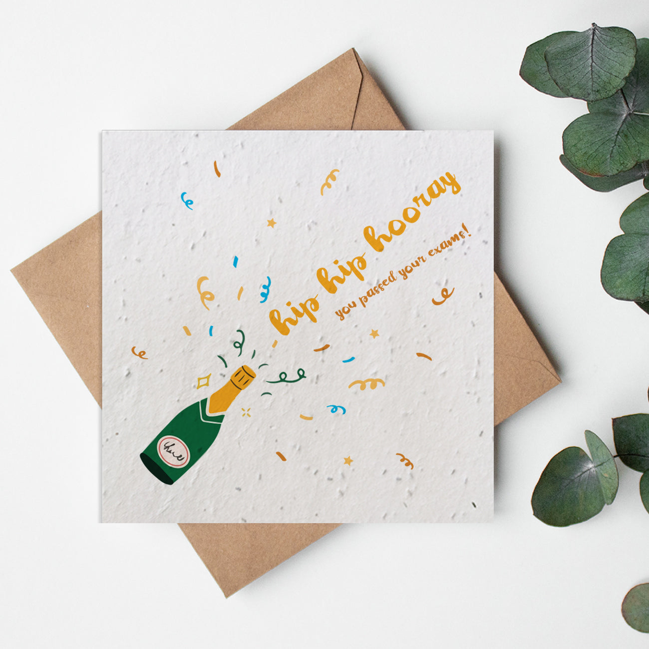 Academics Champagne - Hip Hip Hooray Exams