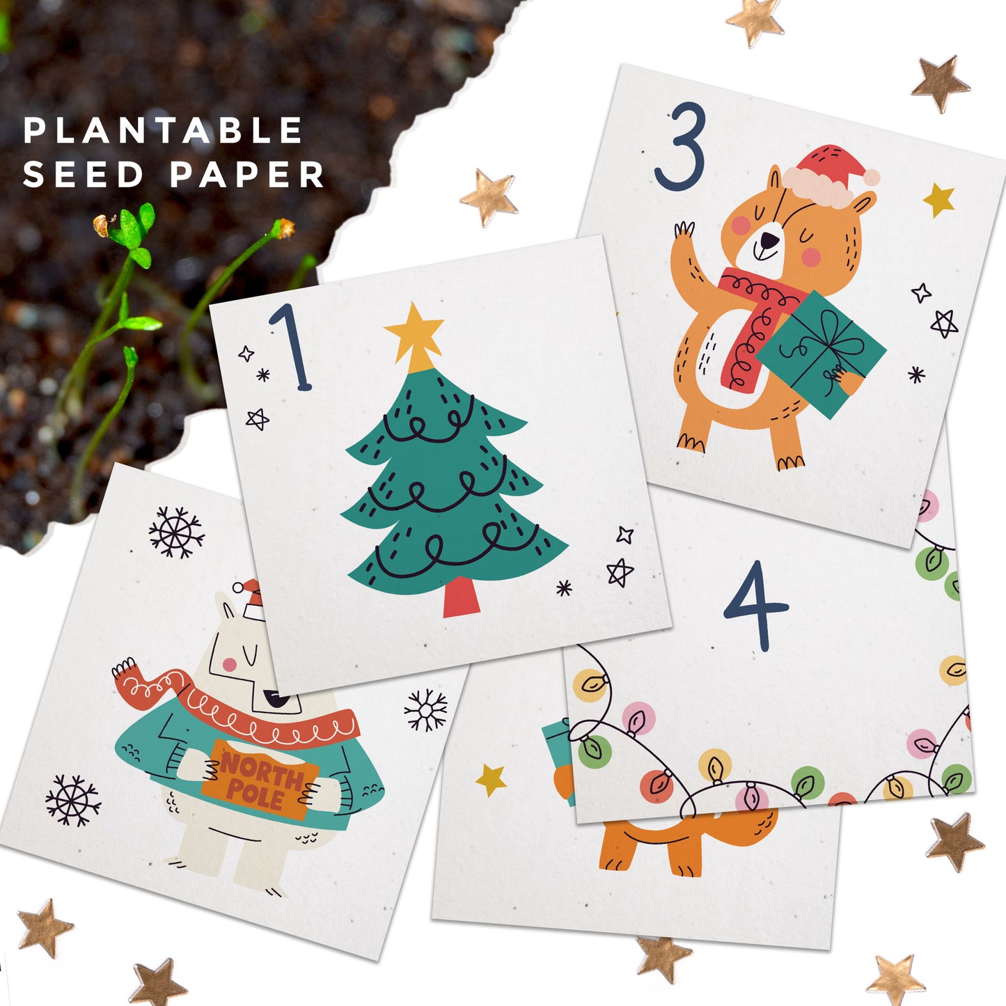 Mini Desktop Advent Calendar - Choice of Designs (TU-6)