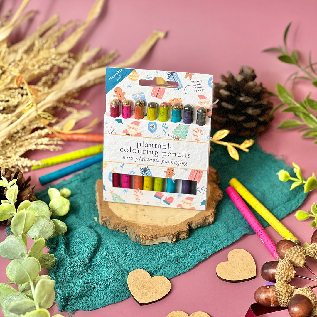 Colouring Pencils - Christmas Cheer