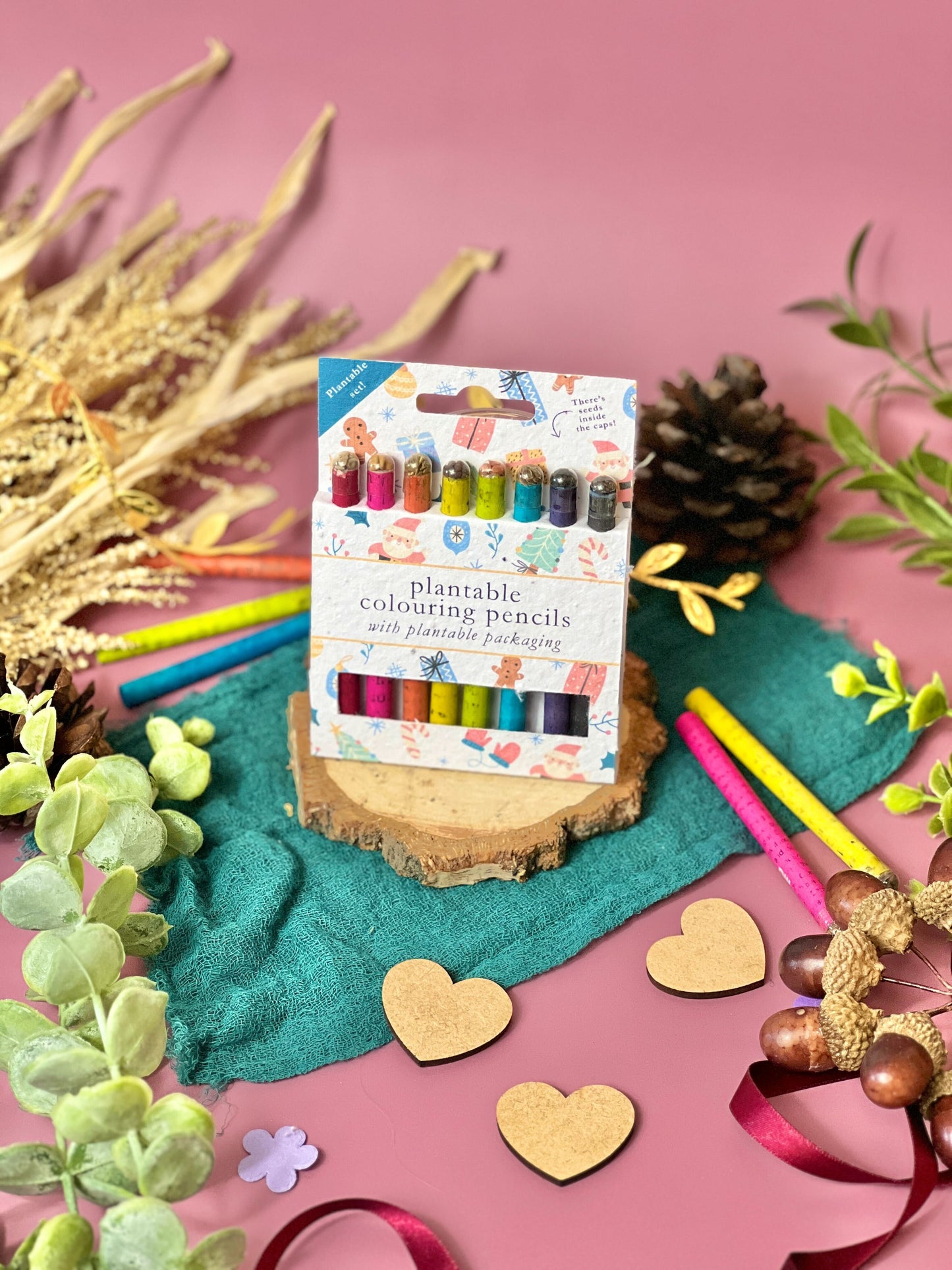 Mixed Starter CHRISTMAS CHEER - BUNDLE