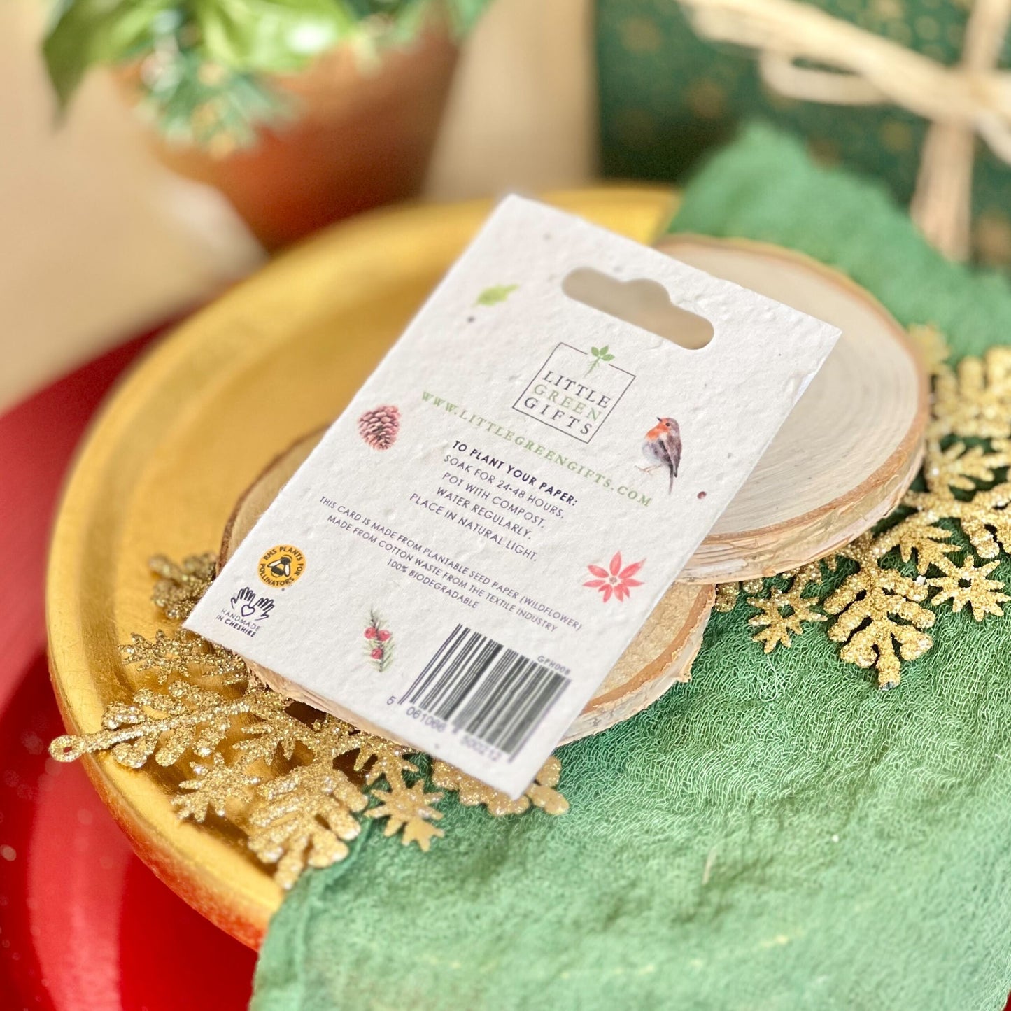 Pocket Hug – Robin on a seed paper backing card, plant to grow wildflowers – unique eco-friendly gifts