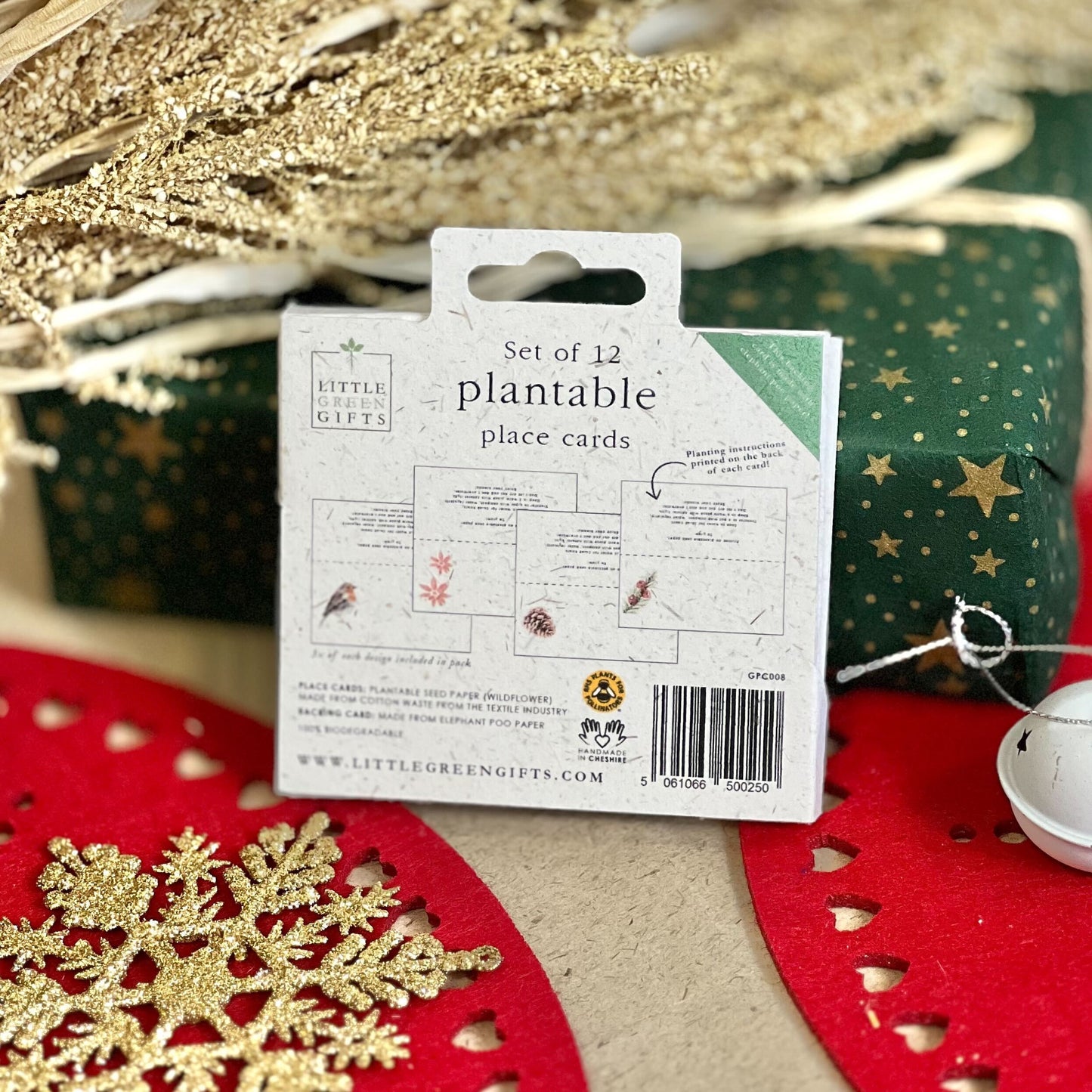 Place Cards - Christmas Robins