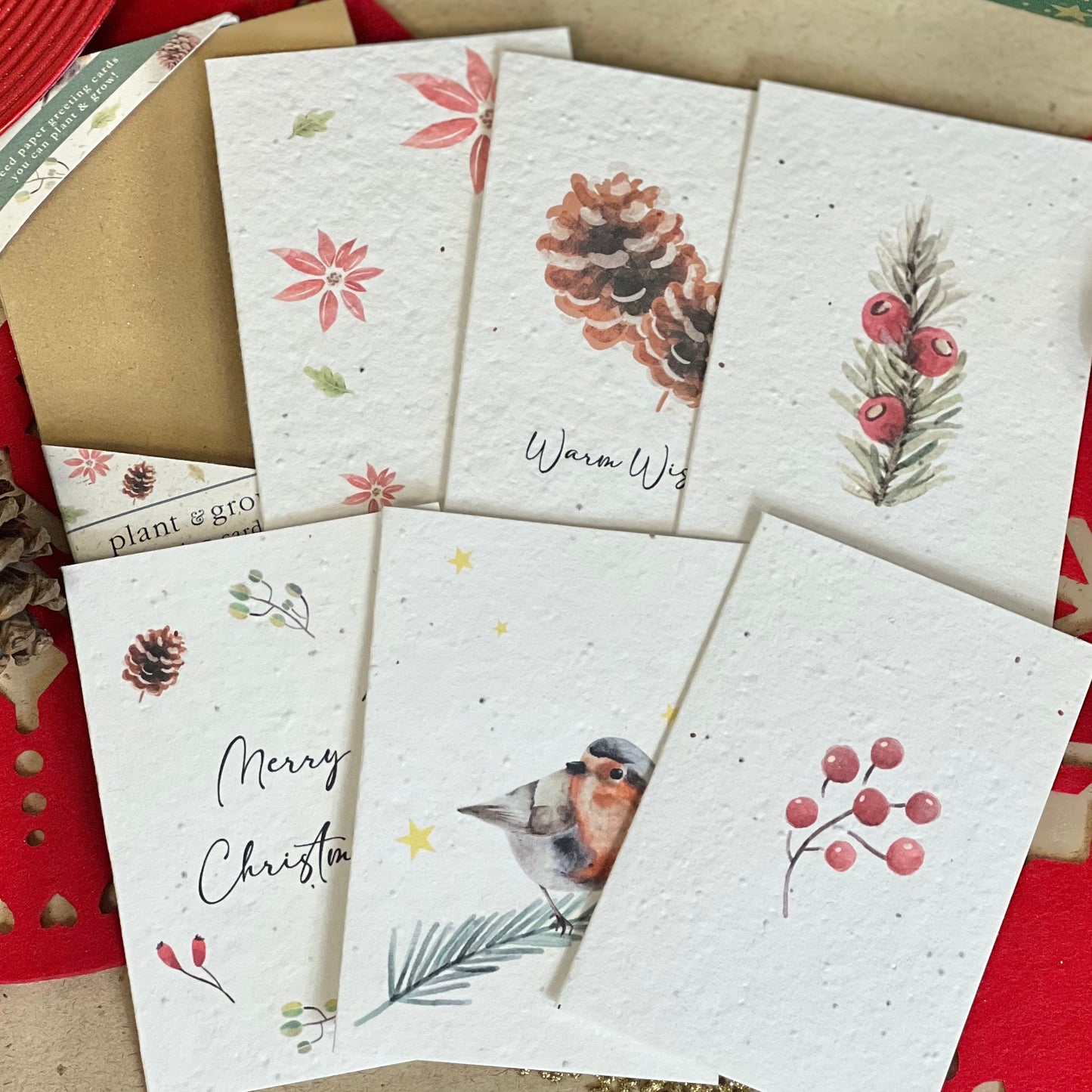 Greeting Cards Multipack - Christmas Robins