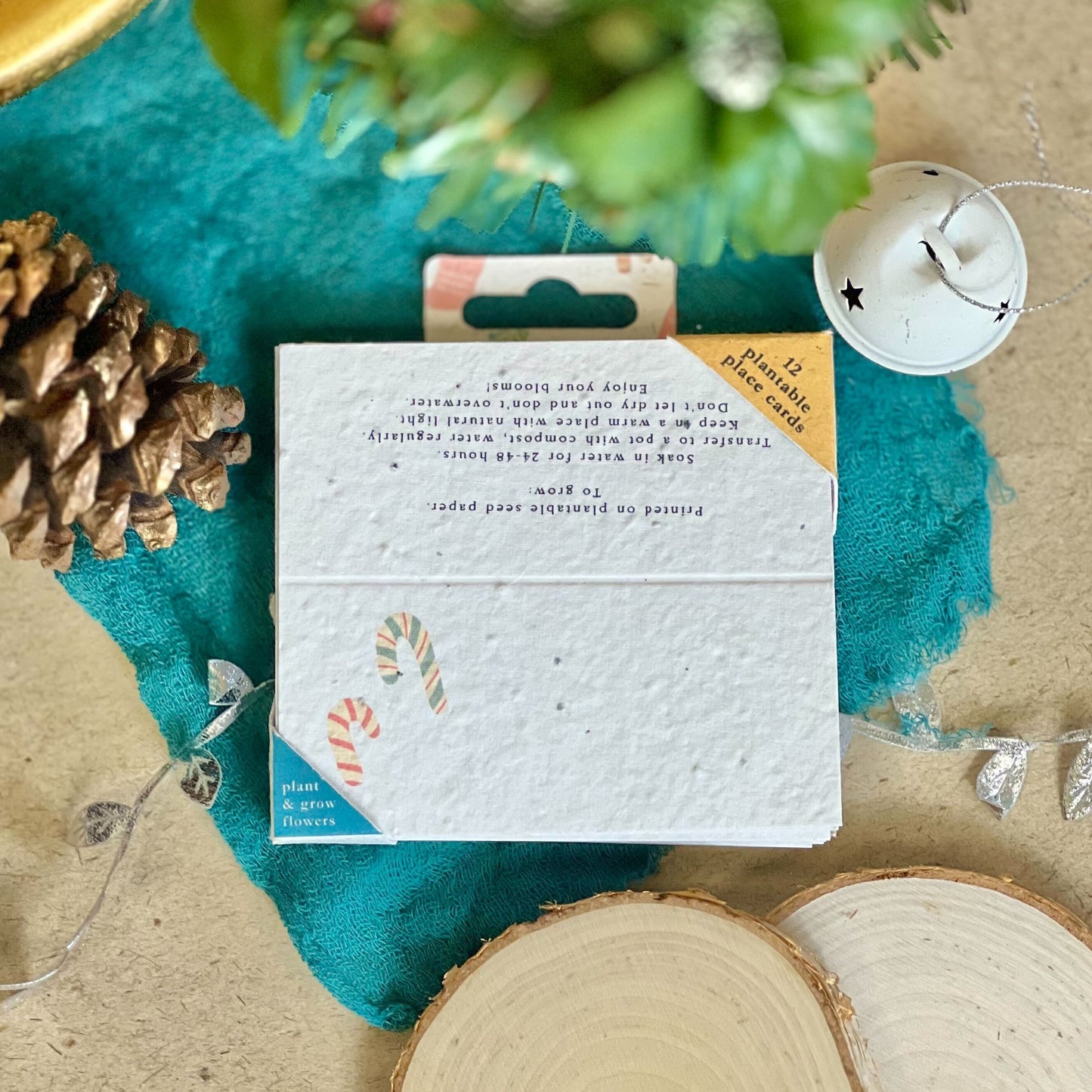 Place Cards - Christmas Cheer