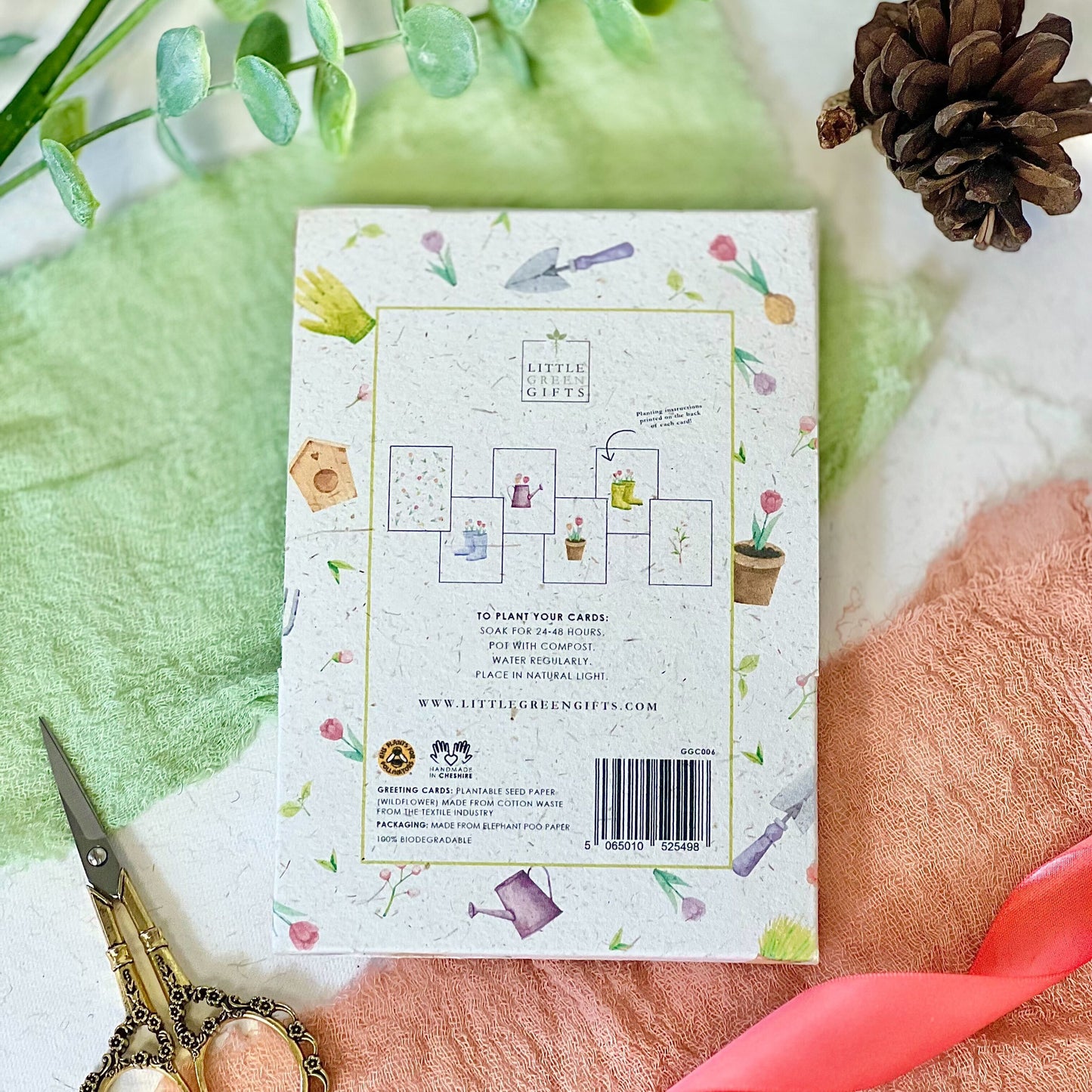 Seed Paper Greeting Cards Little Green Gifts