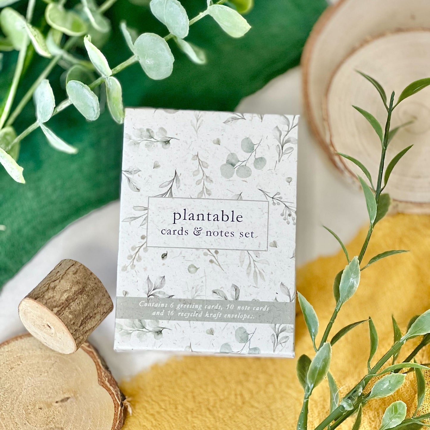 Mini Cards & Notes Set - Eucalyptus Embrace