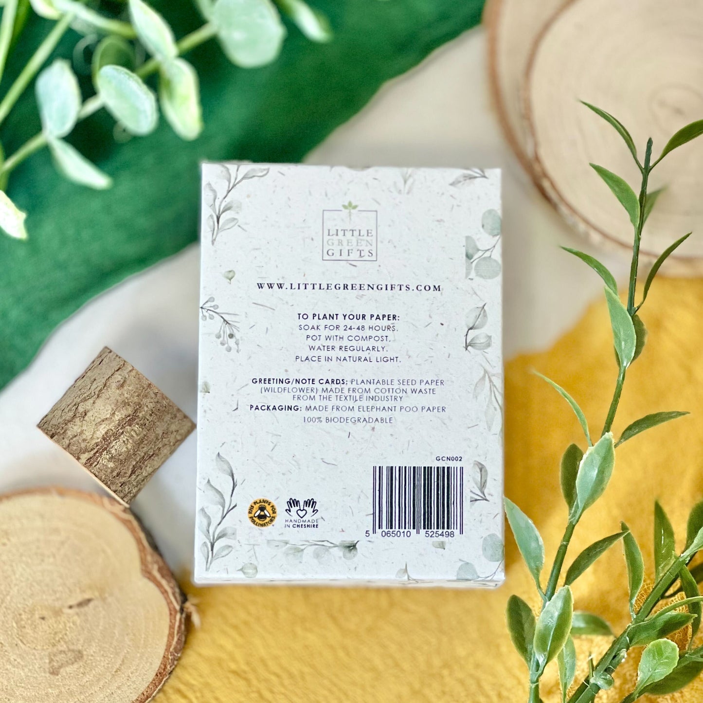Mini Cards & Notes Set - Eucalyptus Embrace