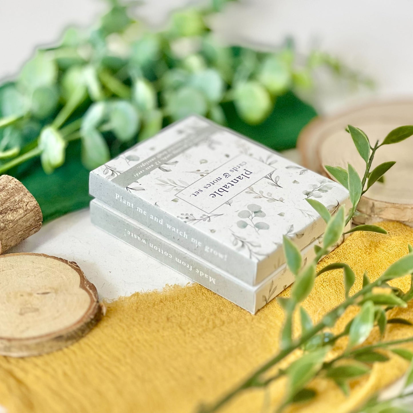 Mini Cards & Notes Set - Eucalyptus Embrace