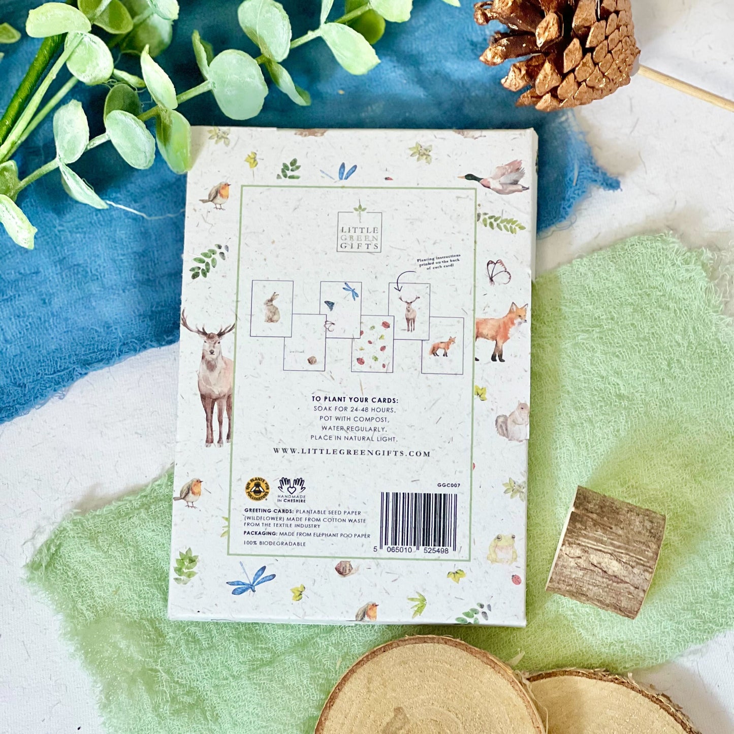 Eco-friendly Greeting Cards Seed Paper Little Green Gifts