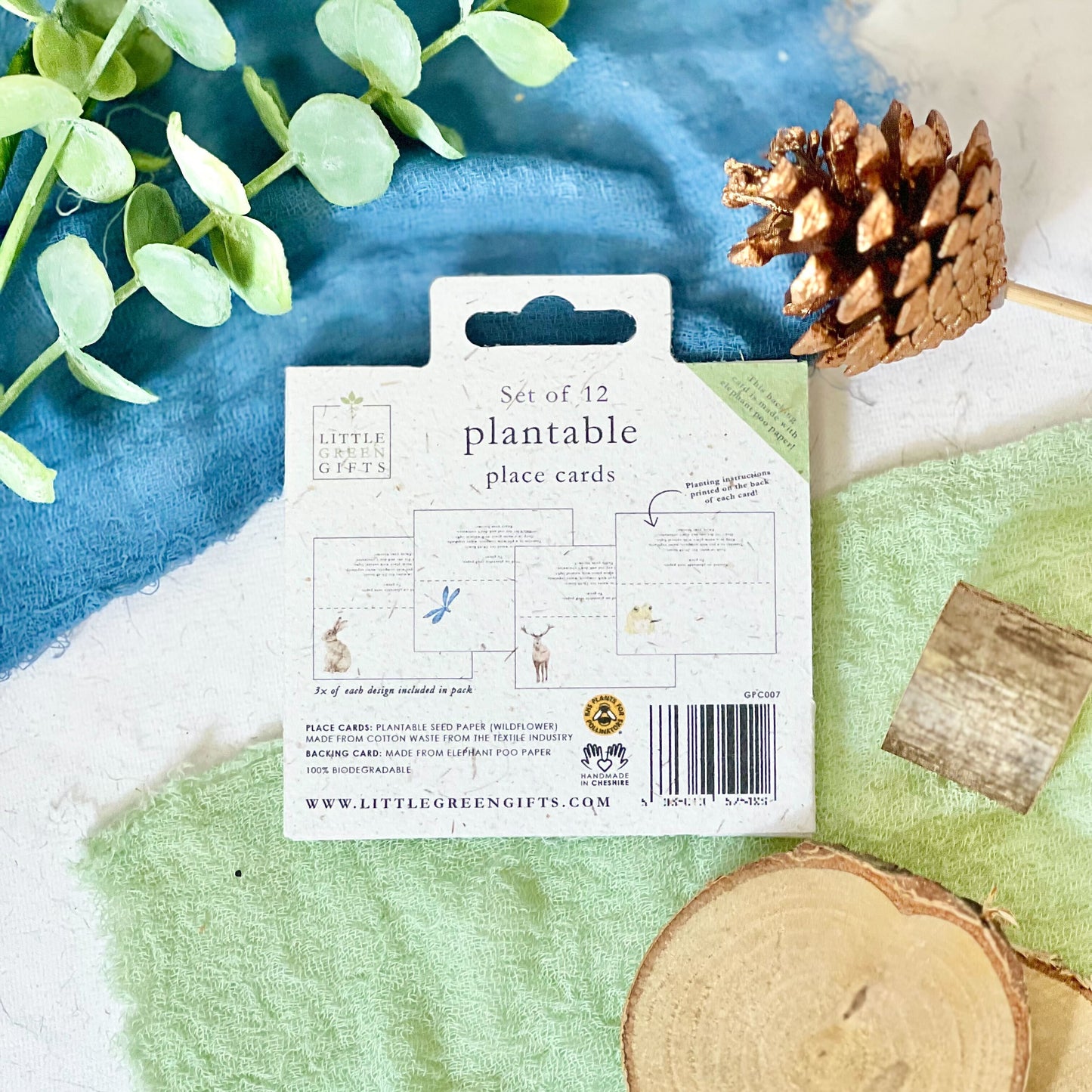 Place Cards - Woodland Wonders