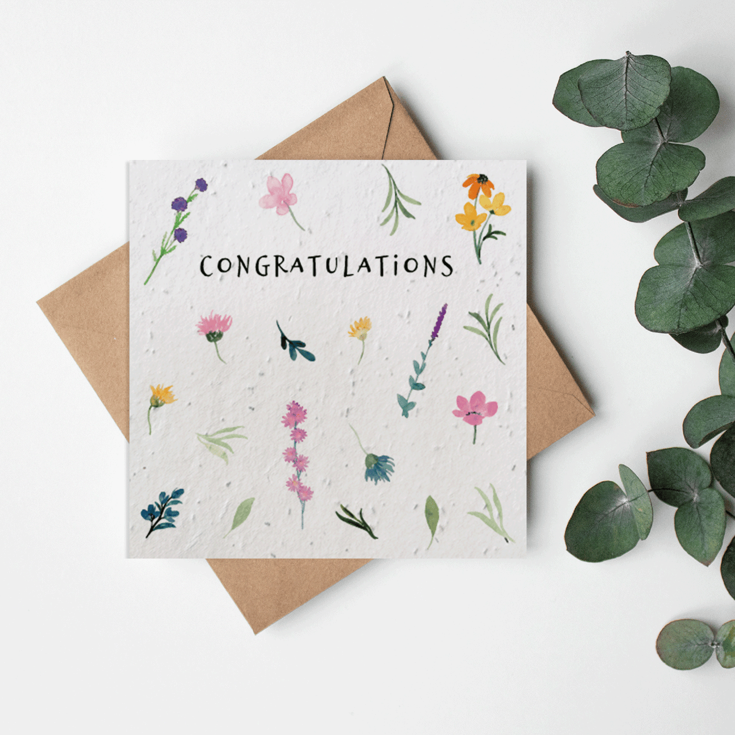 Summer Meadow - Congratulations