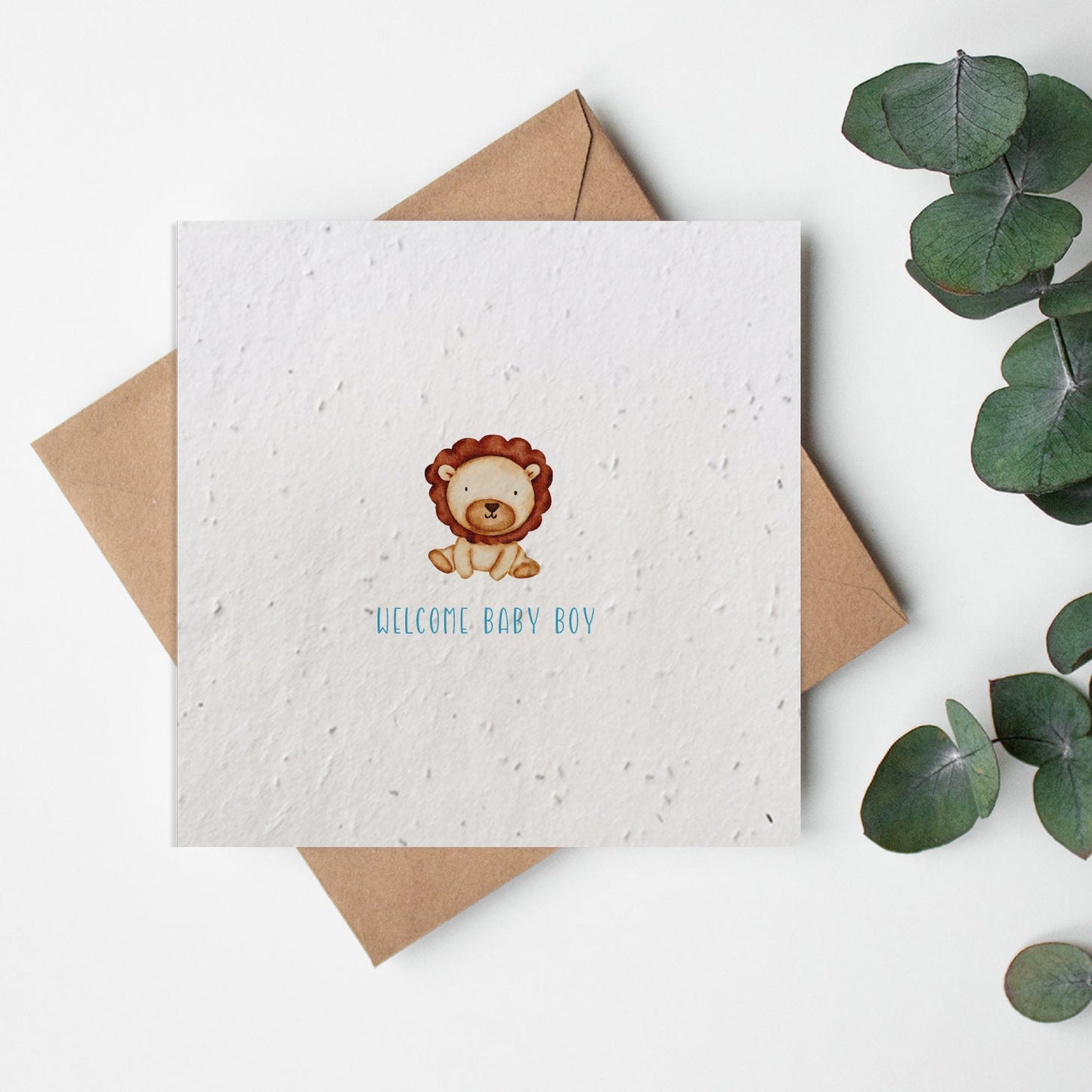 Baby - Lion Baby Boy