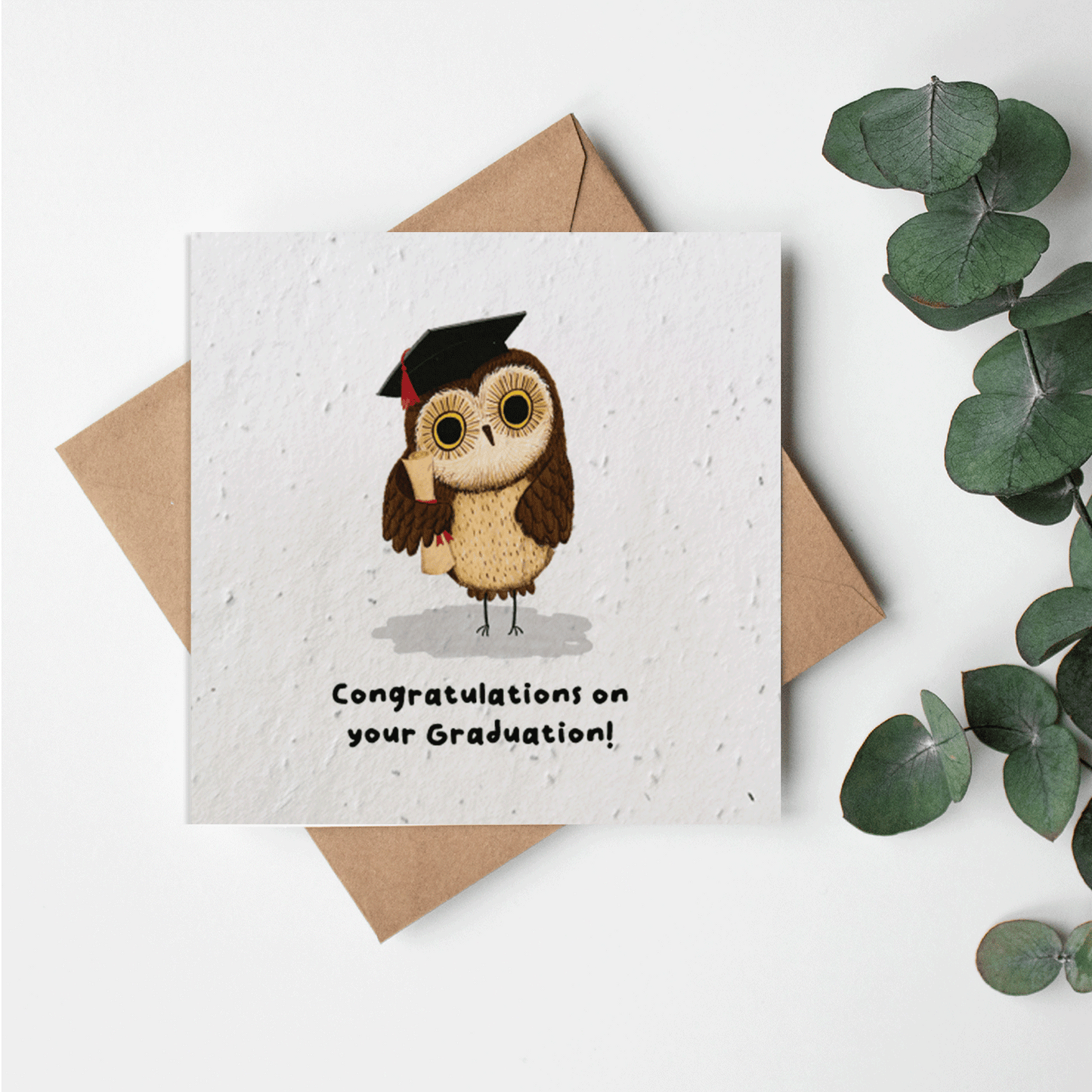 Cuddle Crew - Congratulations on your graduation hedgehod