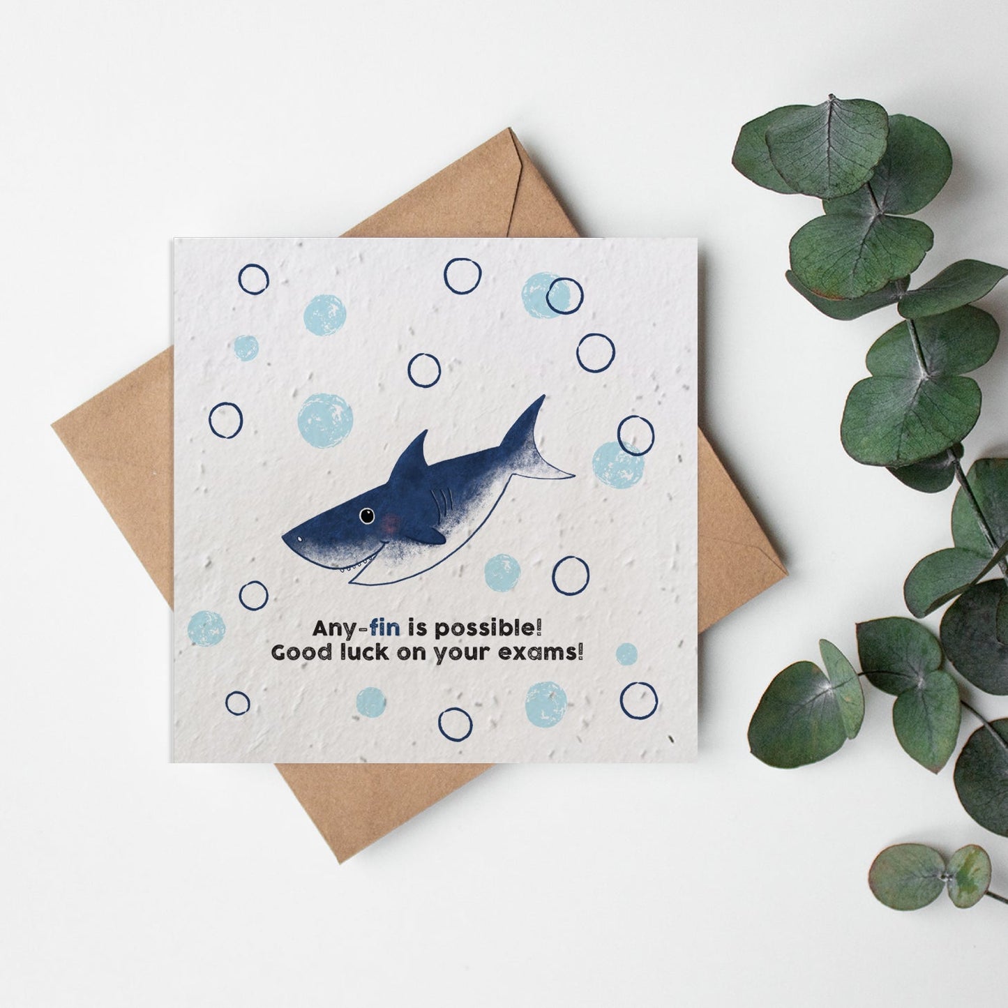 Fish - Any-fin is possible exams