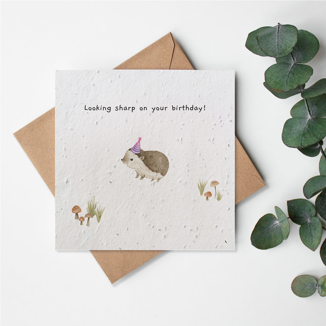 Woodland Creatures - Looking Sharp Hedgehog - Birthday