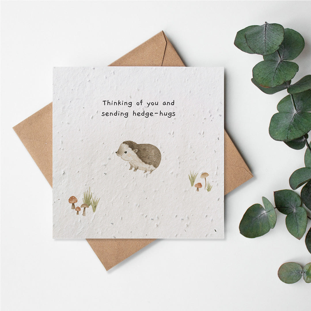 Woodland Creatures - Thinking of You Hedgehog