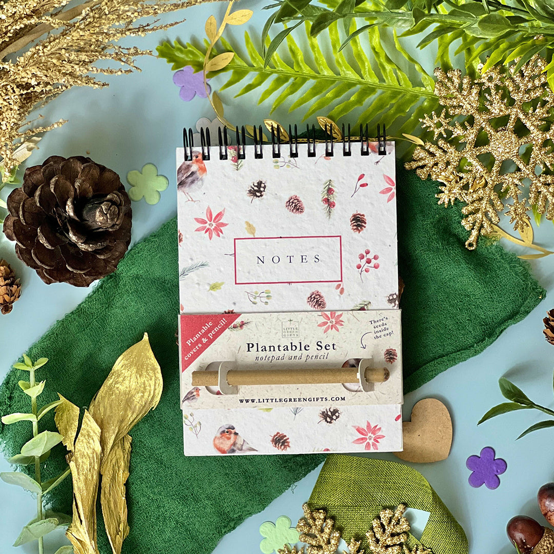 Eco-friendly Mini Plantable Notepad & Pencil Set - Christmas Robins
