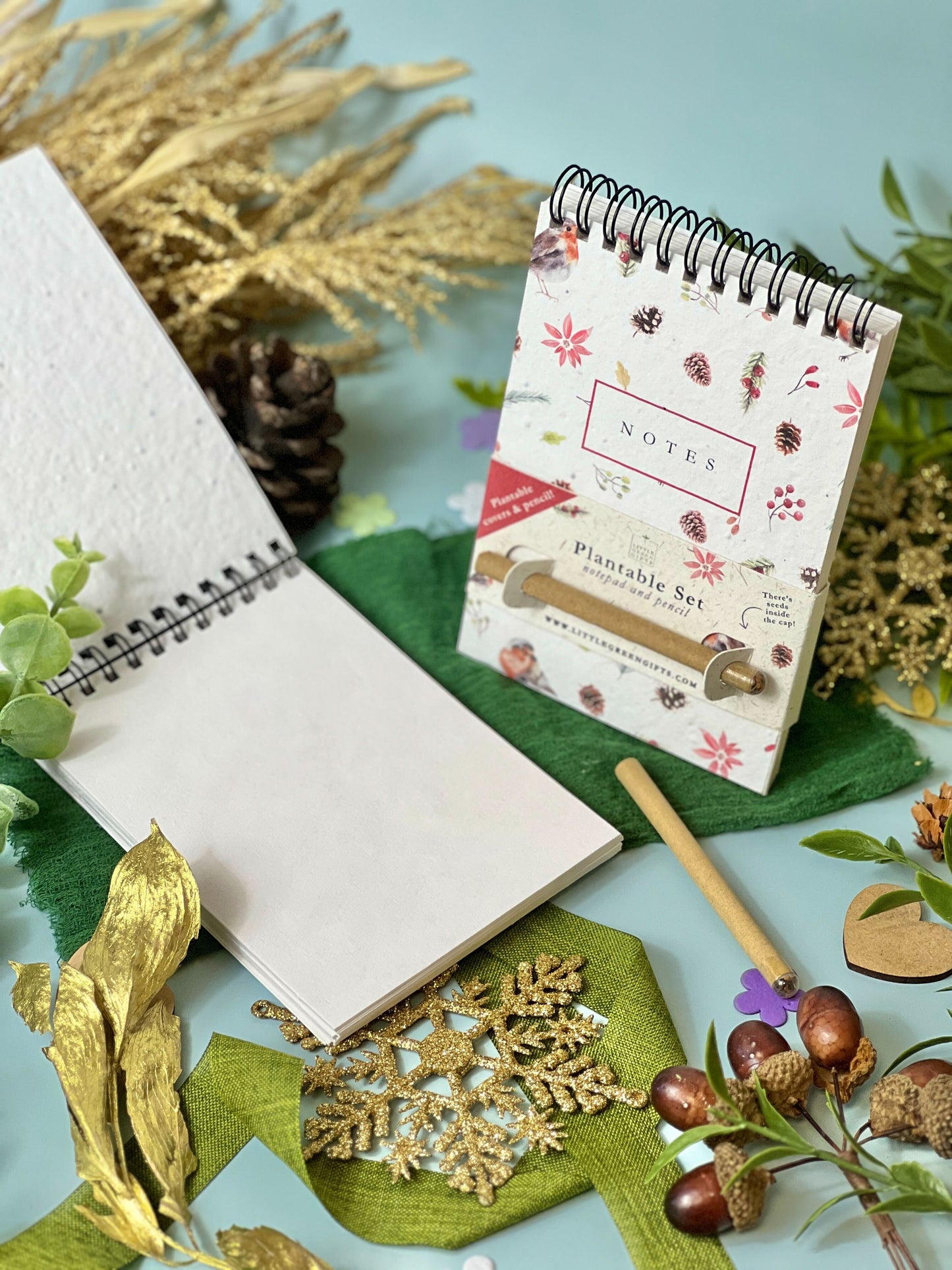 Eco-friendly Mini Plantable Notepad & Pencil Set - Christmas Robins