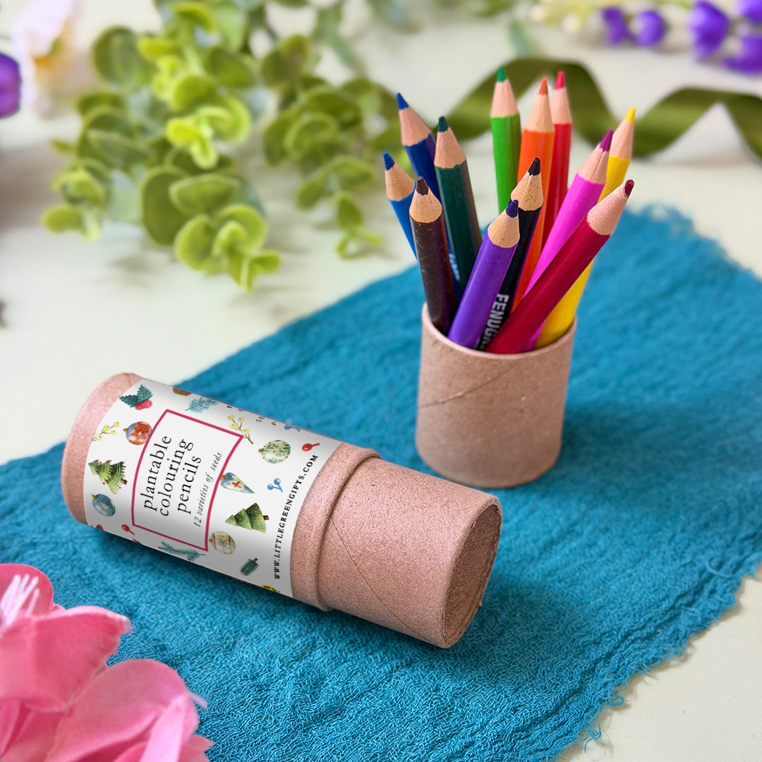Plantable Colouring Pencils (set of 12) - Merry Little Things