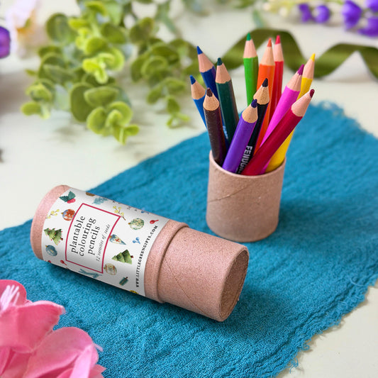 Plantable Colouring Pencils (set of 12) - Merry Little Things