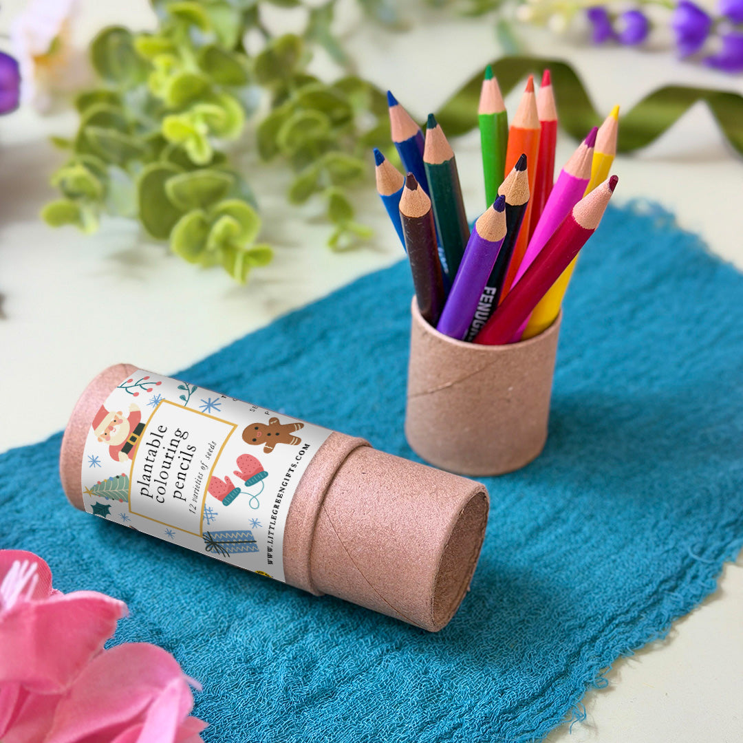 Plantable Colouring Pencils (set of 12) - Christmas Cheer