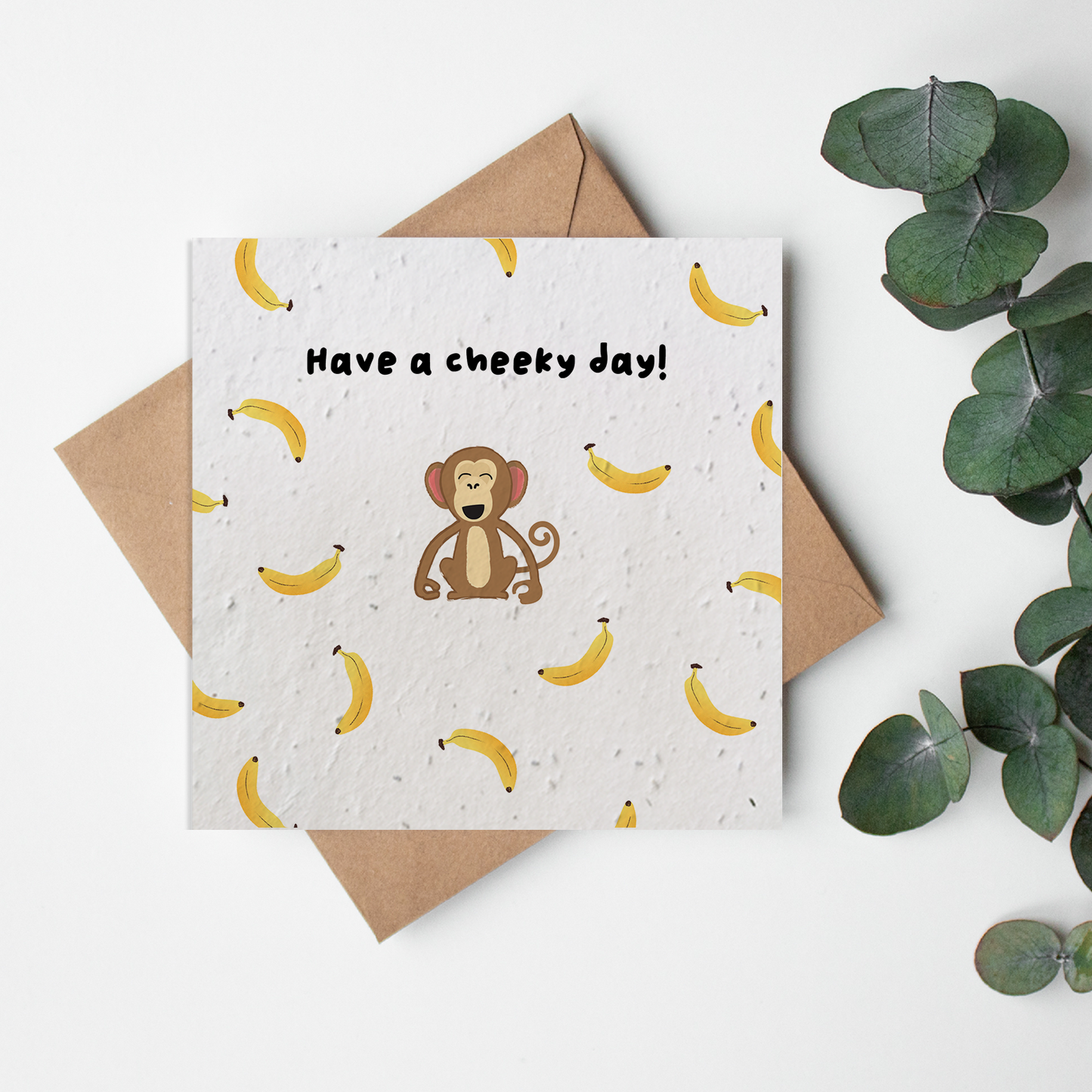 Zoo - Cheeky Monkey