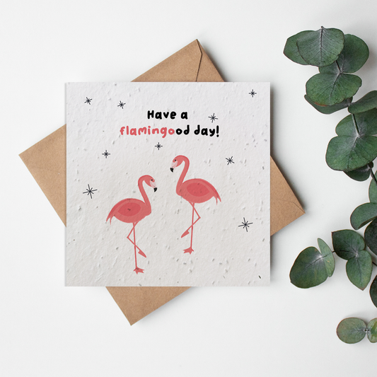 Zoo - Flamingo