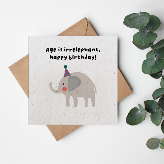 Zoo - Irr-elephant