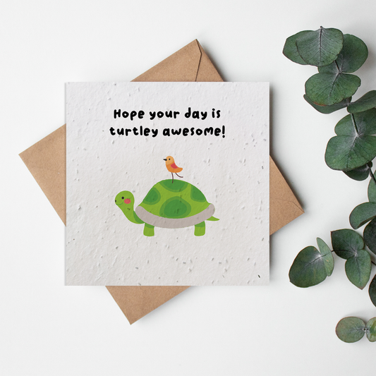 Zoo - Turtley