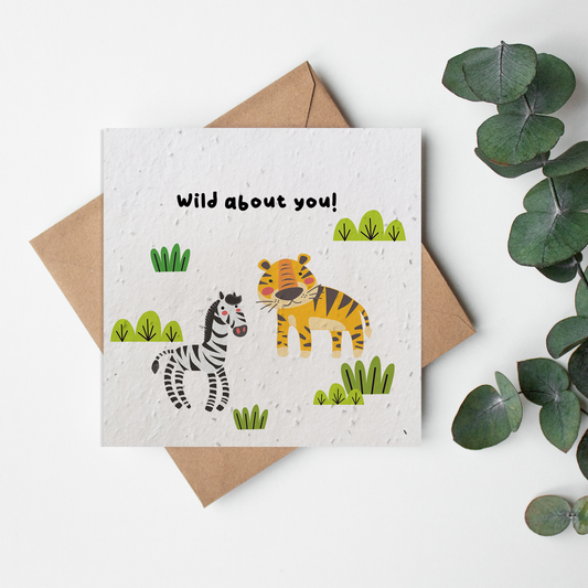 Zoo - Wild About You