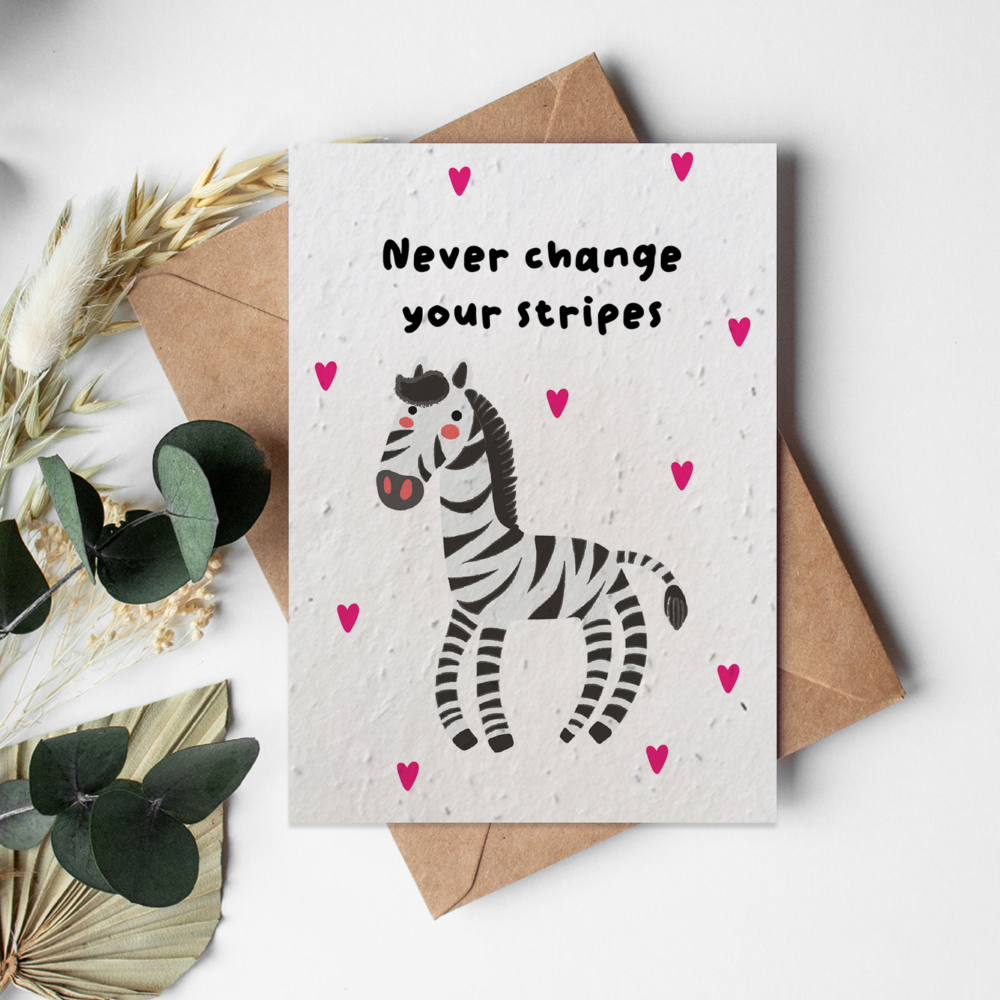 Zoo - Zebra