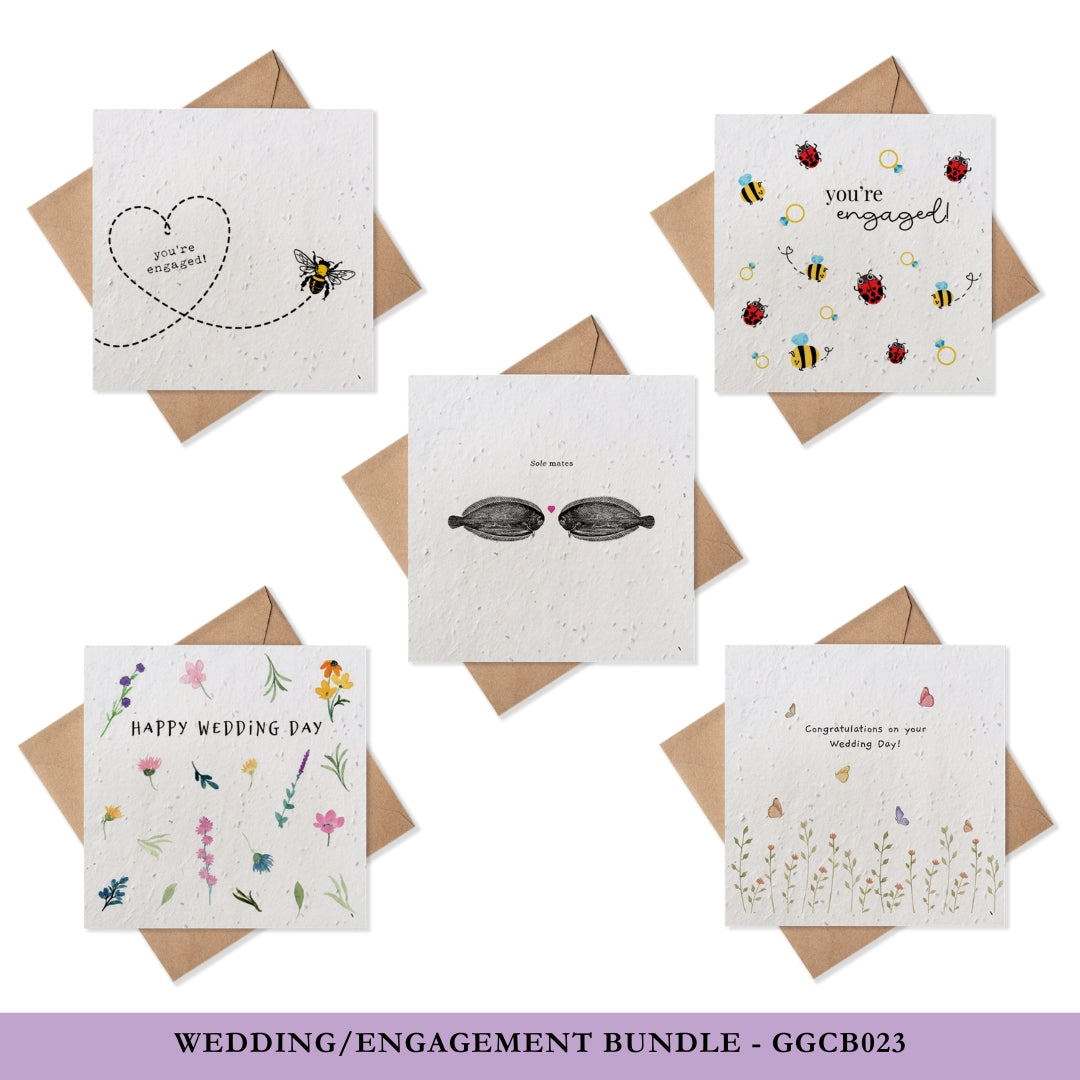 Greeting Cards - Occasions Bundles