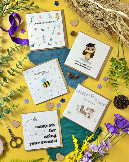 Greeting Cards - Occasions Bundles