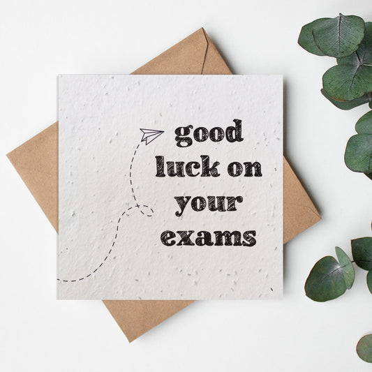 Academics Paper Planes - Good Luck Exams