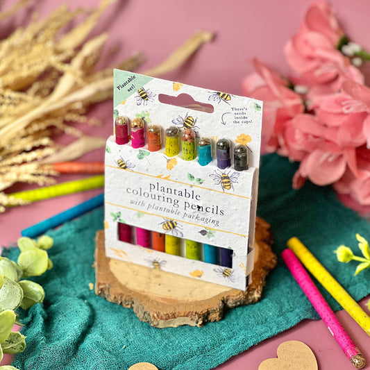 Colouring Pencils - Bees & Blossoms