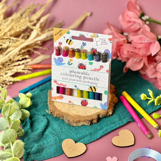 Colouring Pencils - Bug Bonanza