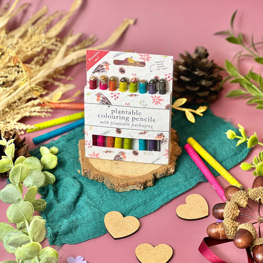 Colouring Pencils - Christmas Robins