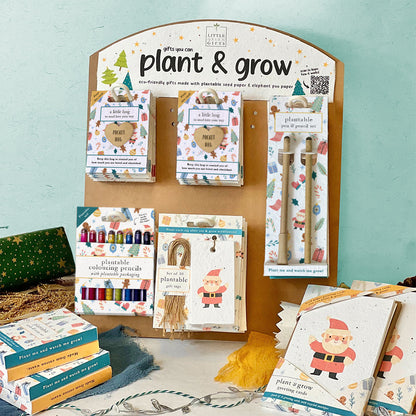 Mixed Starter CHRISTMAS CHEER - BUNDLE