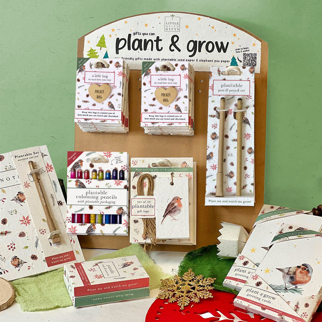 Mixed Starter Robins CHRISTMAS - BUNDLE