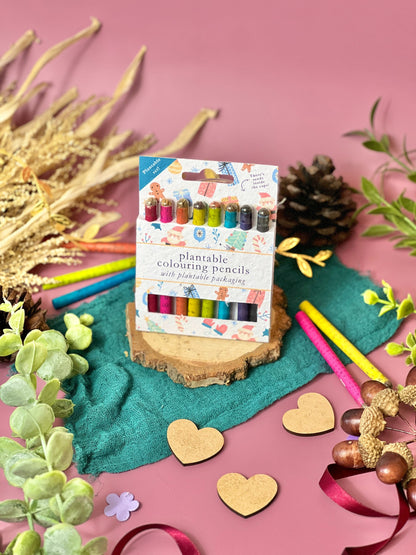 Mixed Starter CHRISTMAS CHEER - BUNDLE