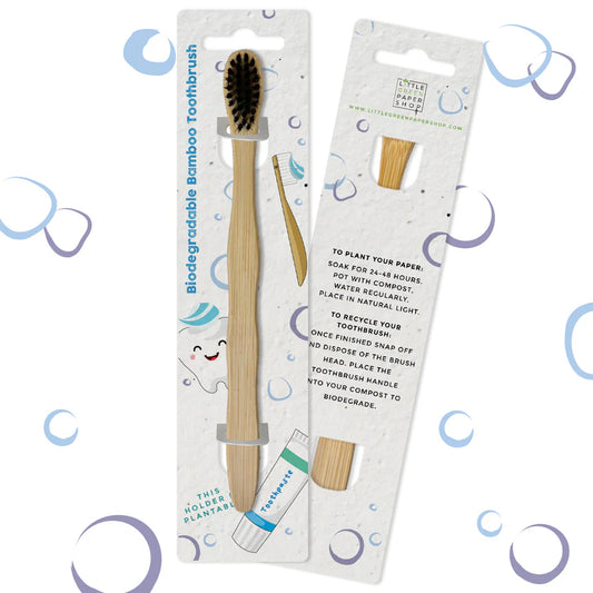 Bamboo Toothbrush - Squeaky Clean