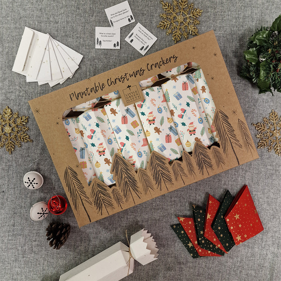 Seed Paper Crackers - Christmas Cheer