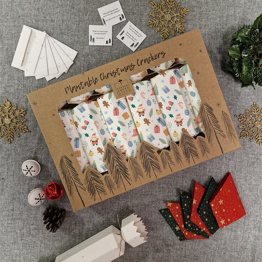 Seed Paper Crackers - Christmas Cheer
