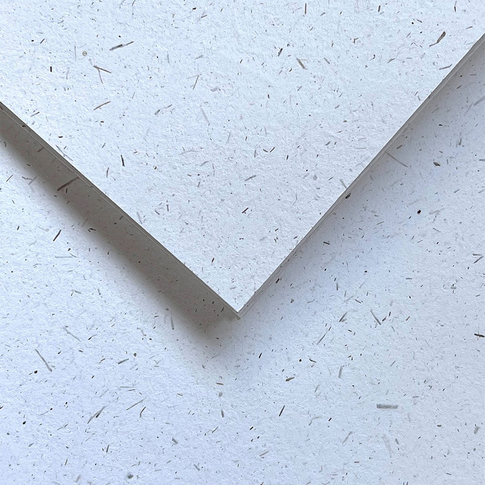 About Our Paper – Little Green Gifts