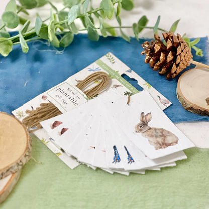 Gift Tags - Woodland Wonders