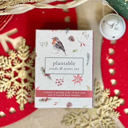 Mixed Starter Robins CHRISTMAS - BUNDLE