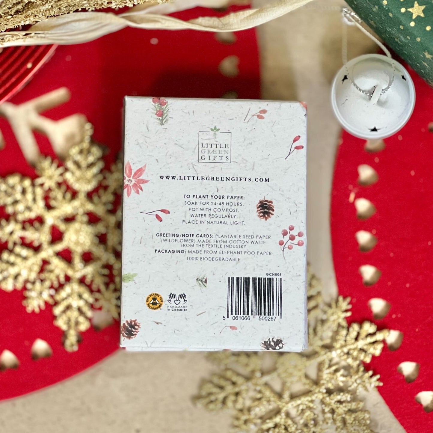 Mini Cards & Notes Set - Christmas Robins