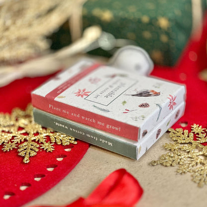 Mini Cards & Notes Set - Christmas Robins