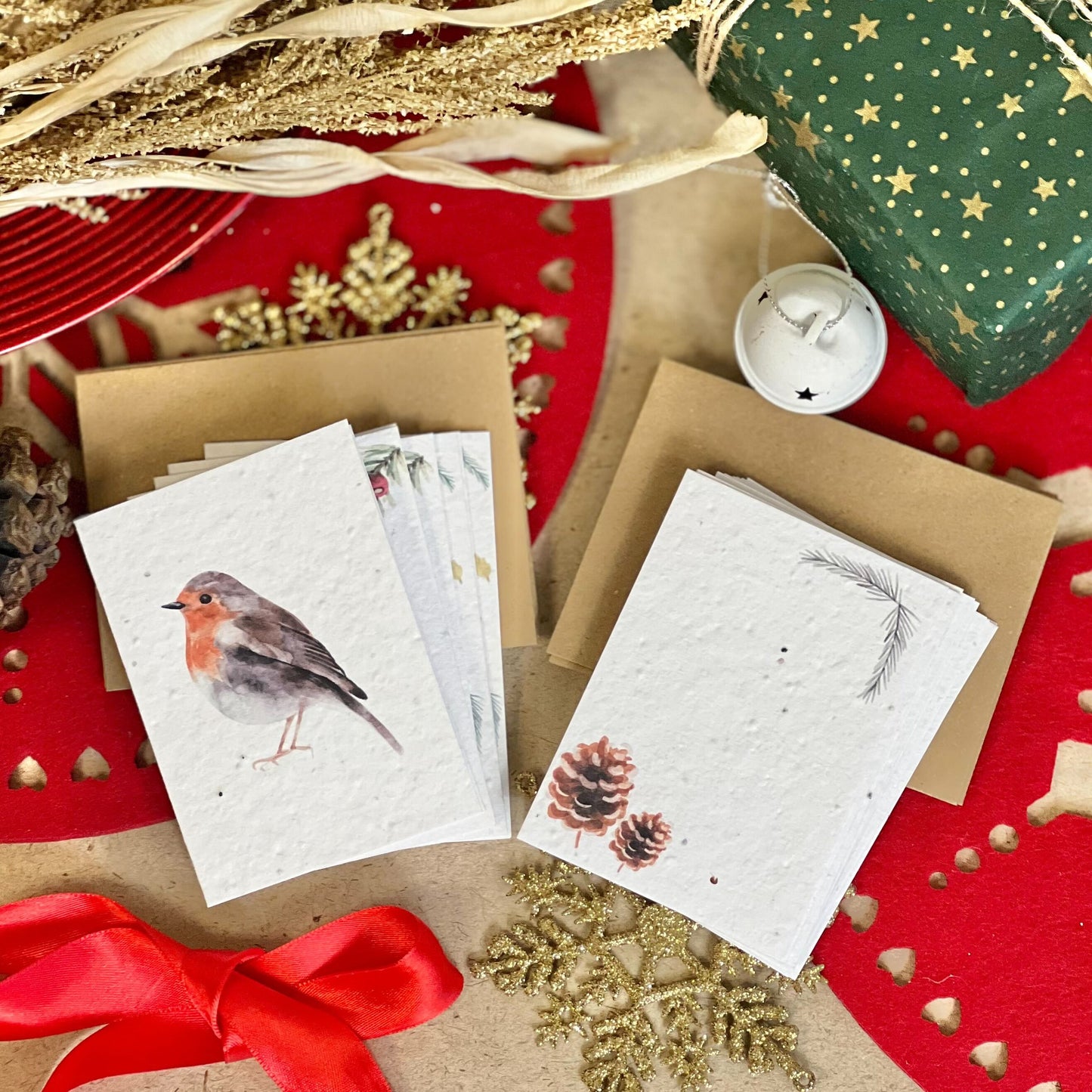 Mini Cards & Notes Set - Christmas Robins